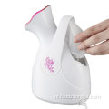 100 ml capaciteit hete nano gezicht ionische gezichtsstoomboot